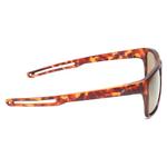 Fastrack Brown Wayfarer Sunglasses | Personal Care | Halabh.com