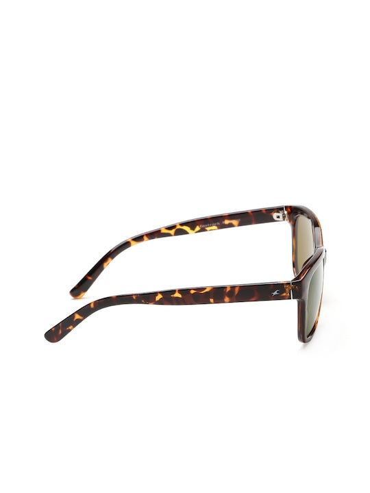 Fastrack Brown Women Wayfarer Sunglasses | Personal Care | Halabh.com