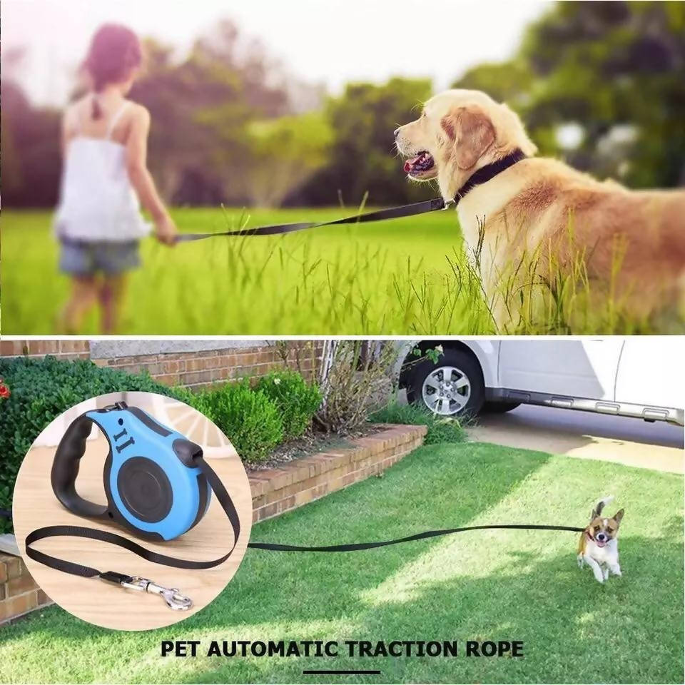 Automatic Flexible Retractable Design Dog Leash Pet Dog Leash Cat Traction Leash Tool for Small Medium Dogs