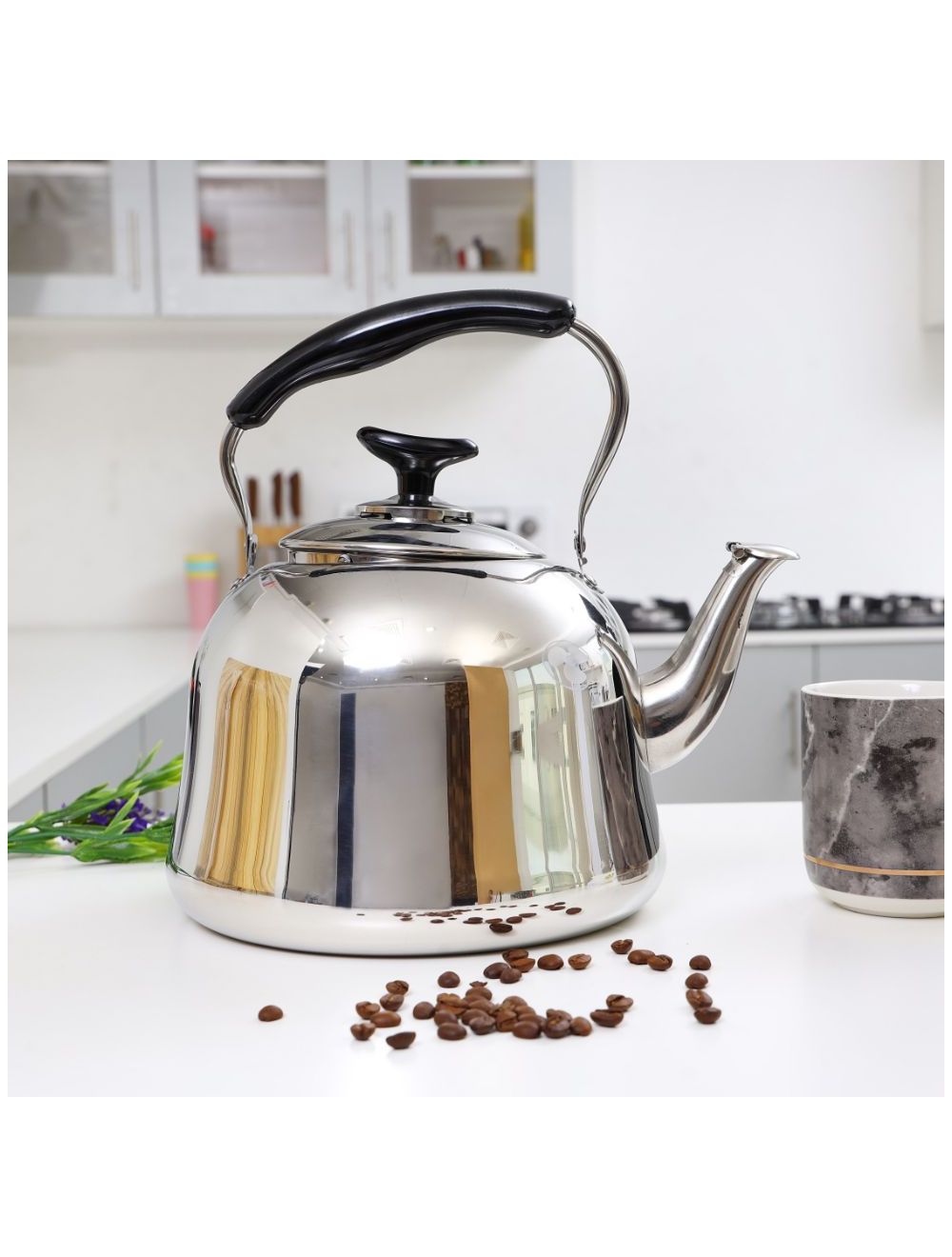 Royalford 5.0L Stainless Steel Whistling Kettle