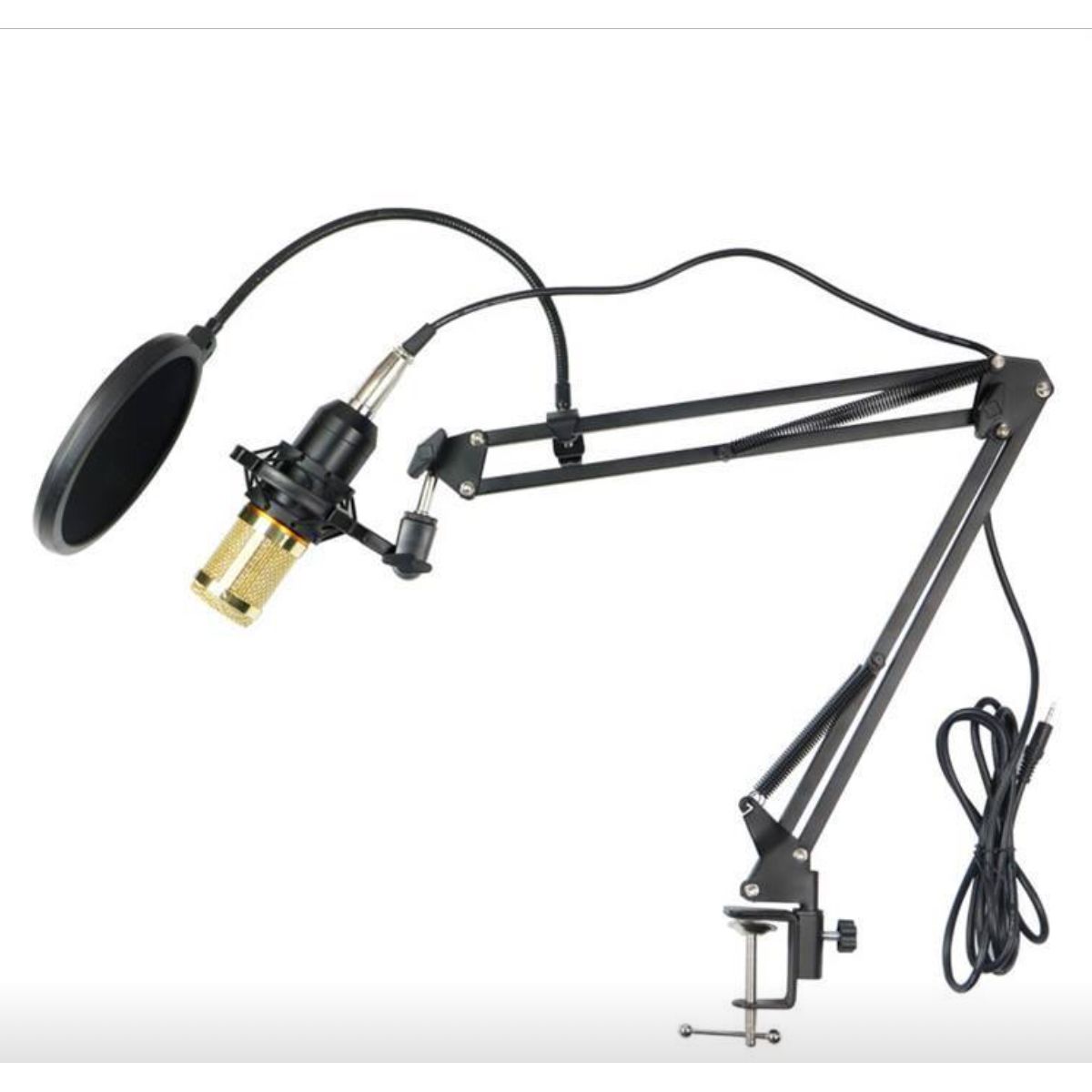 Professional Condenser Microphone Set with Screen & Stand