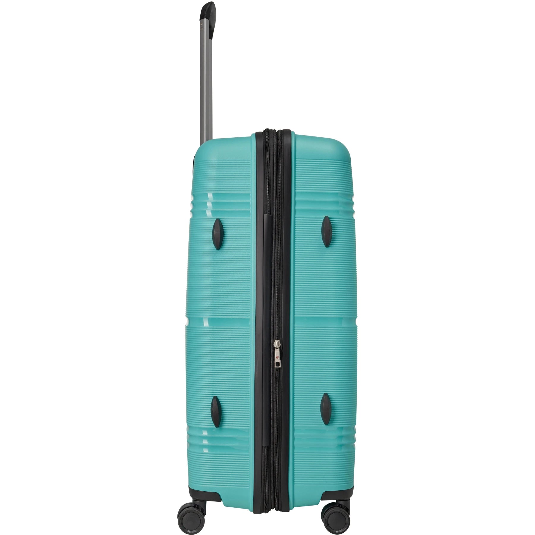 Carlton Focus Plus 8 Wheel Strolly | Trolley Bags | Halabh.com