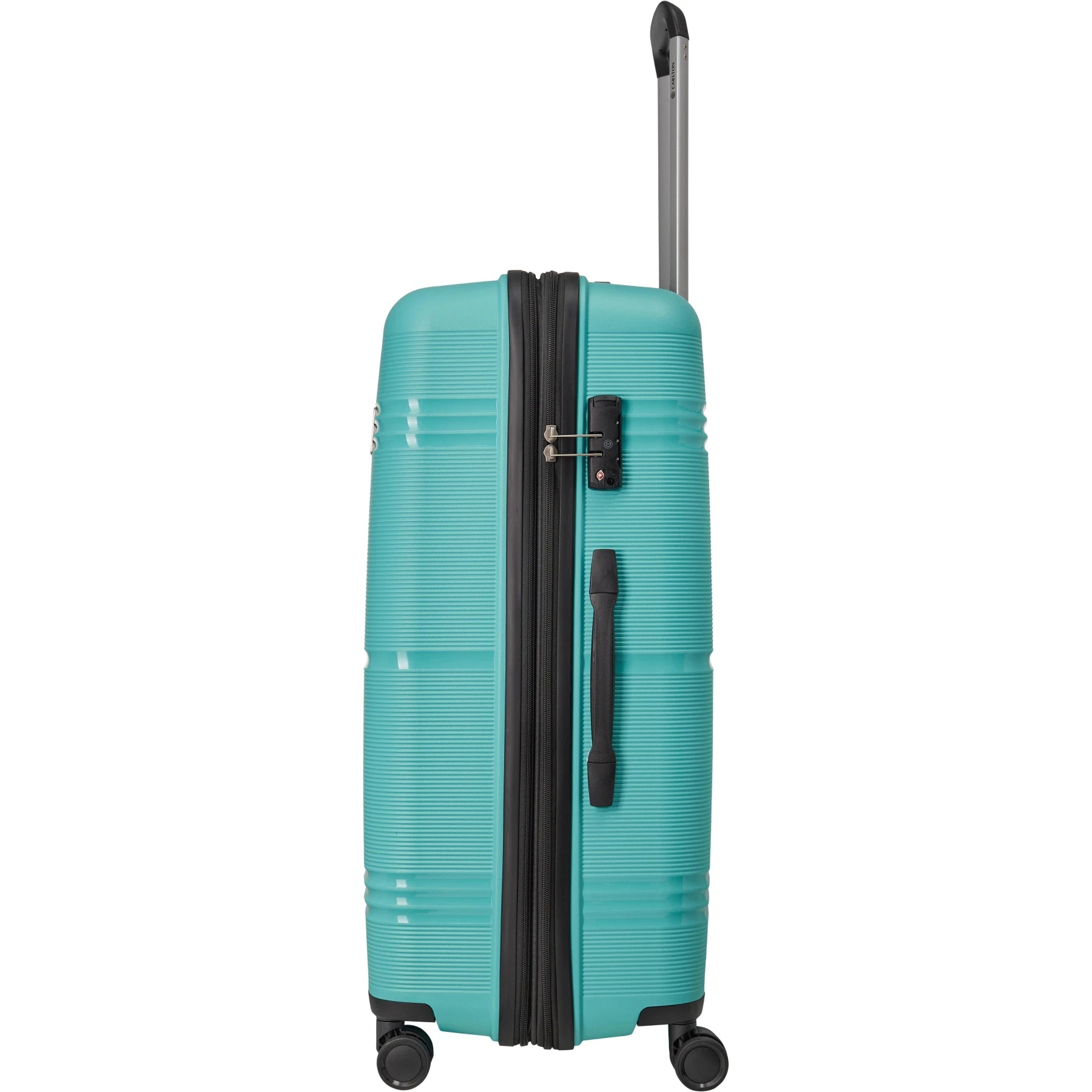 Carlton Focus Plus 8 Wheel Strolly | Trolley Bags | Halabh.com