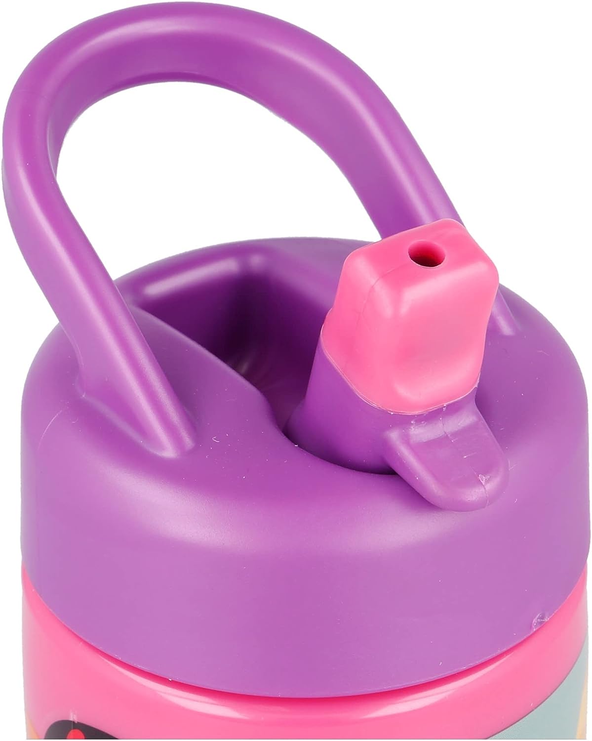 Disney Princess Sports Drinking Bottle | School Supplies | Halabh.com