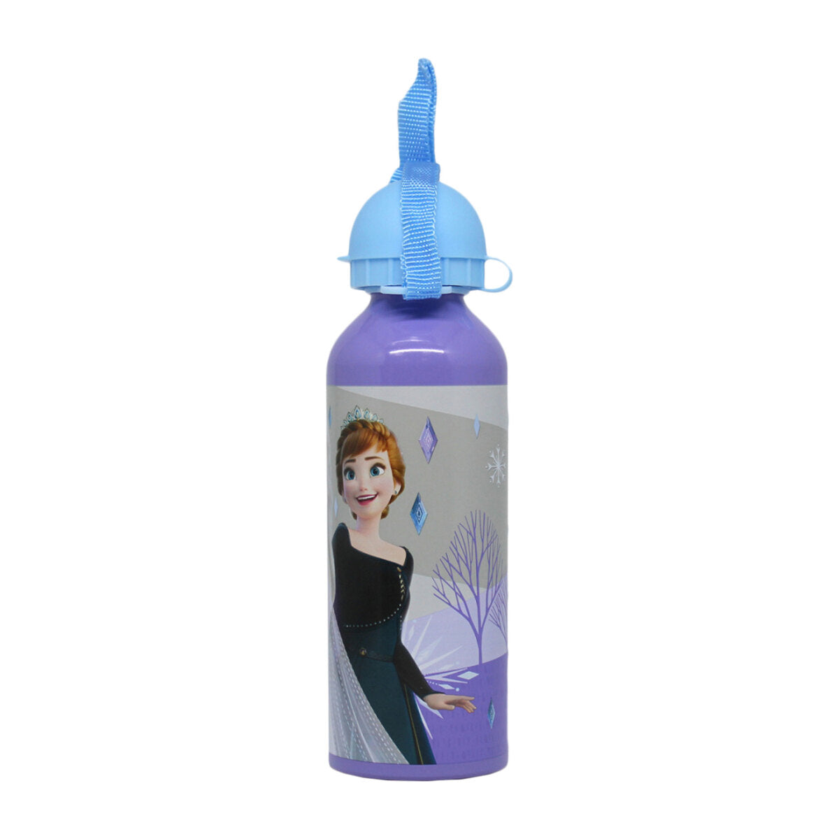 Frozen Metal Water Bottle | School Supplies | Halabh.com