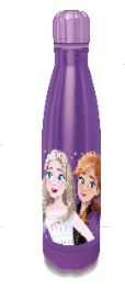 Frozen Stainless Steel Water Bottle in Color Box | School Supplies | Halabh.com