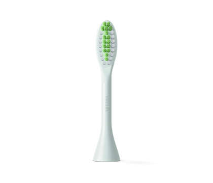 Philips One By Sonicare 2 Brush Head | Health & Personal Care | Halabh.com