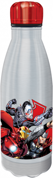 Avengers 600 ML Stainless W Botl