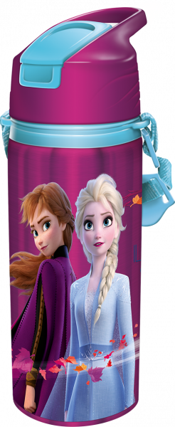 Frozen II 600 ML Stainless W Botl