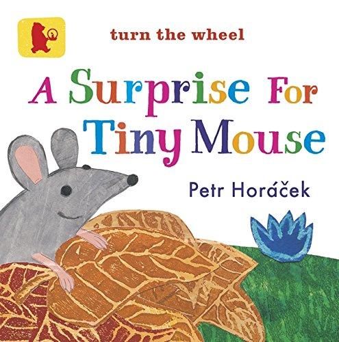 A Surprise For Tiny Mouse