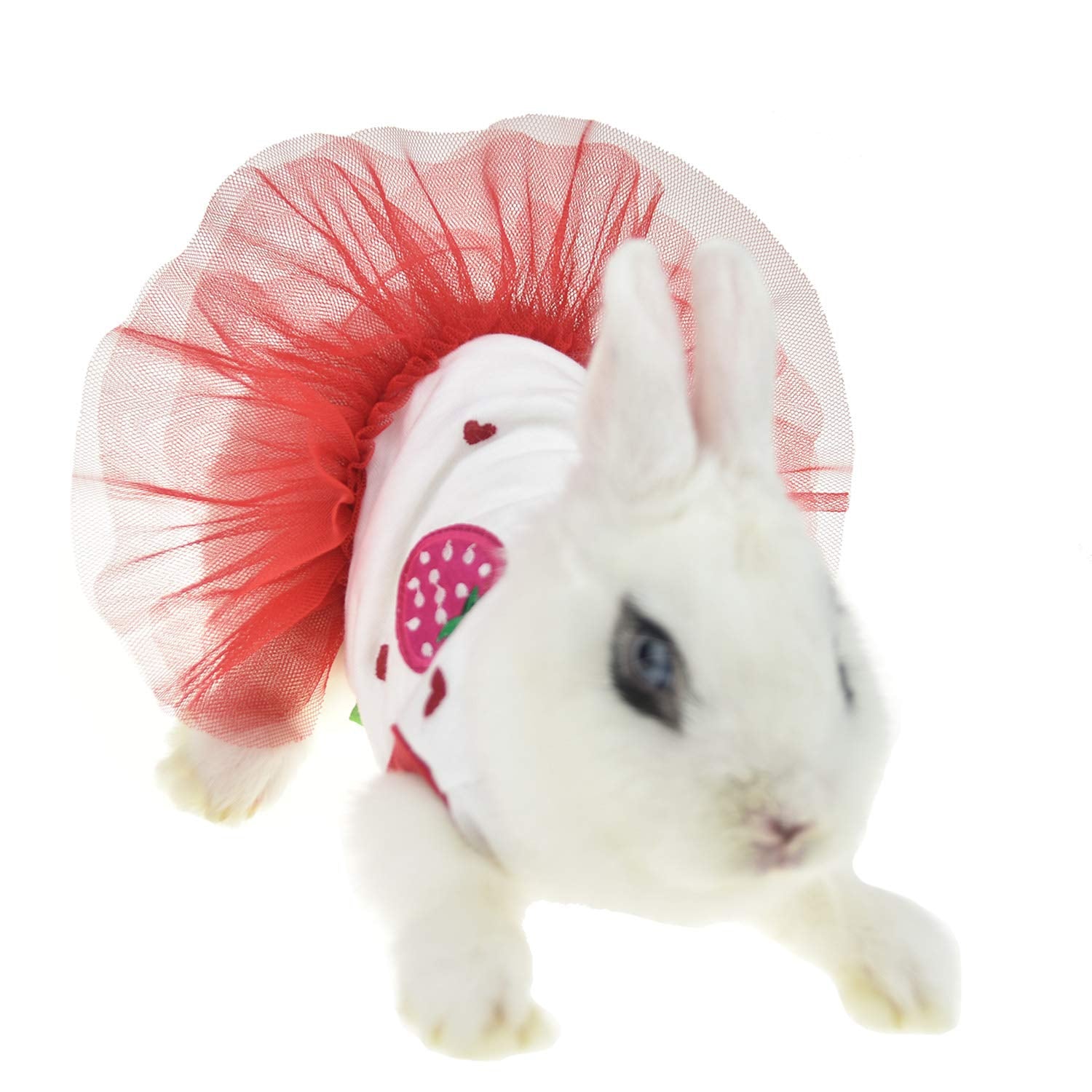 Rabbit Dress Clothes for Mini Animal Chinchilla Easter Costume