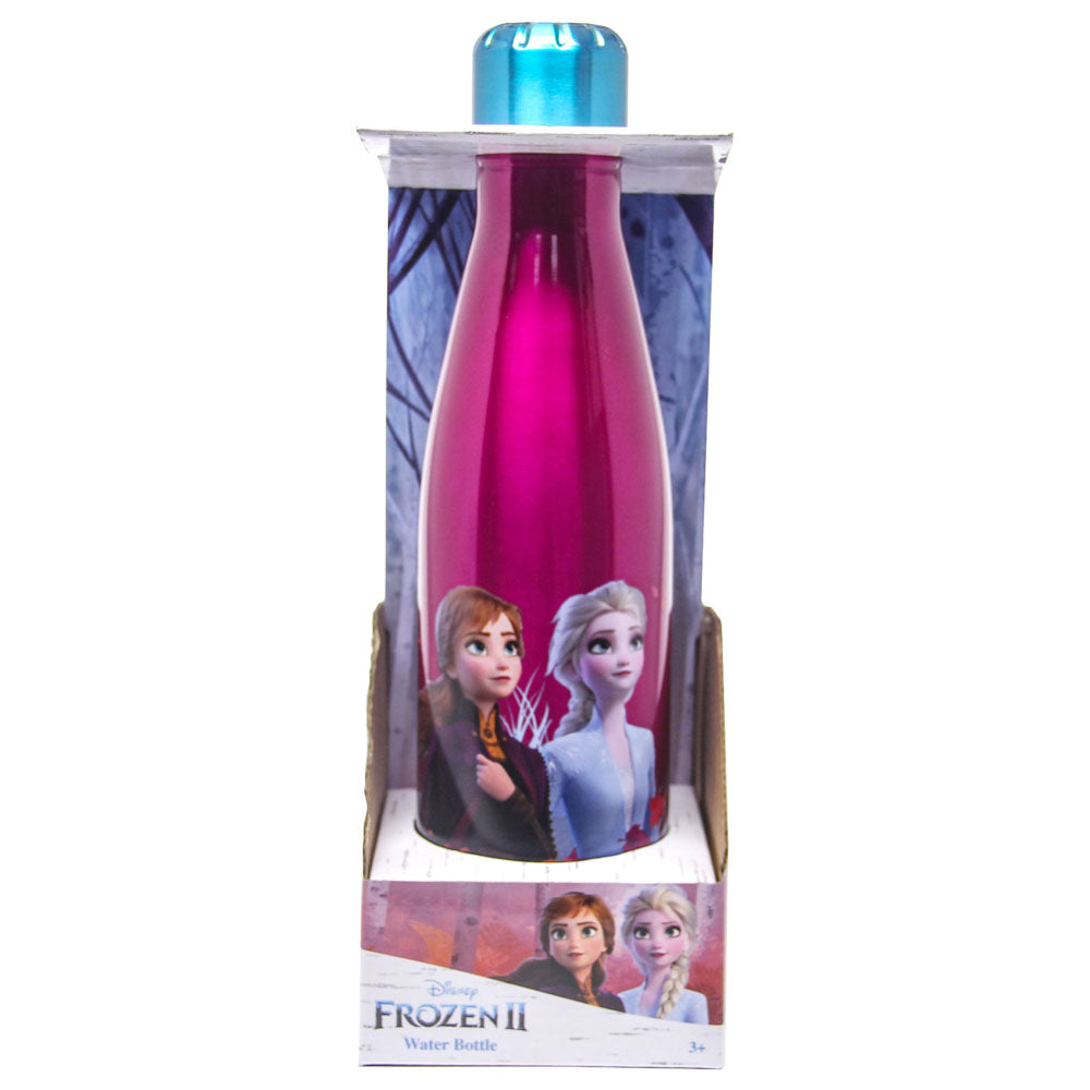 Frozen II  Stainless Water Bottle 600 ML Double Wall